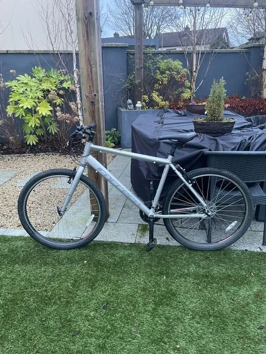 27.5" L Correra Parva - Image 2