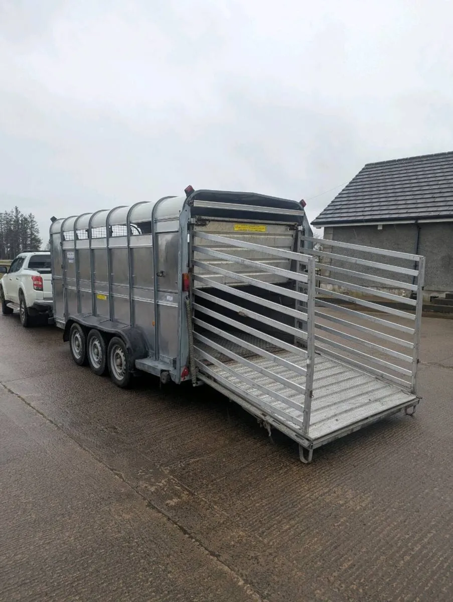 Ifor Williams - Image 1