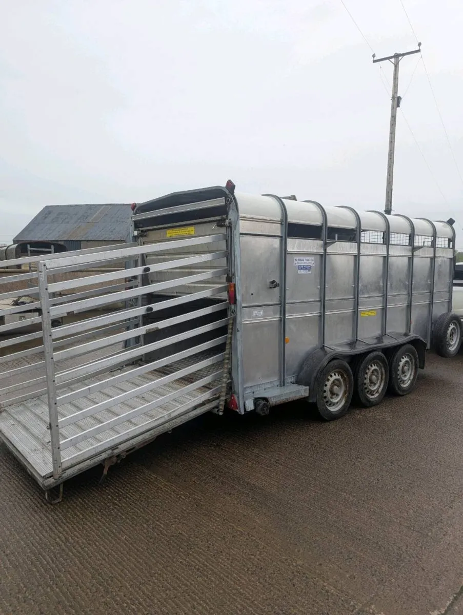 Ifor Williams - Image 3