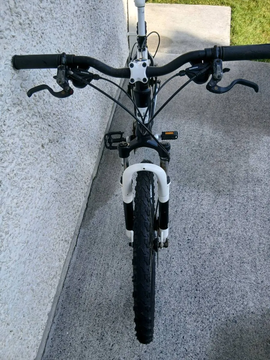 ADULTS BIKE - Image 4