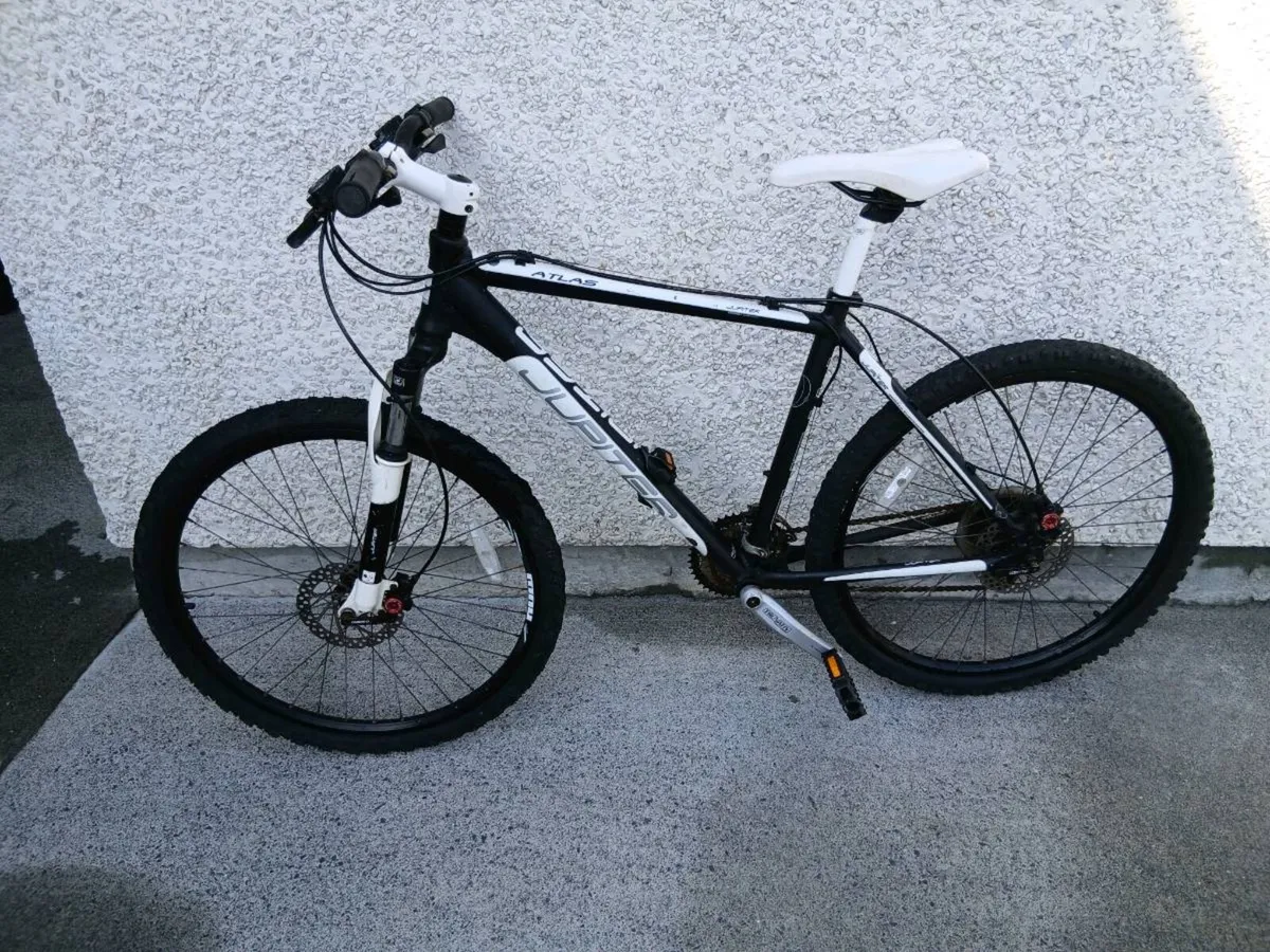 ADULTS BIKE - Image 1