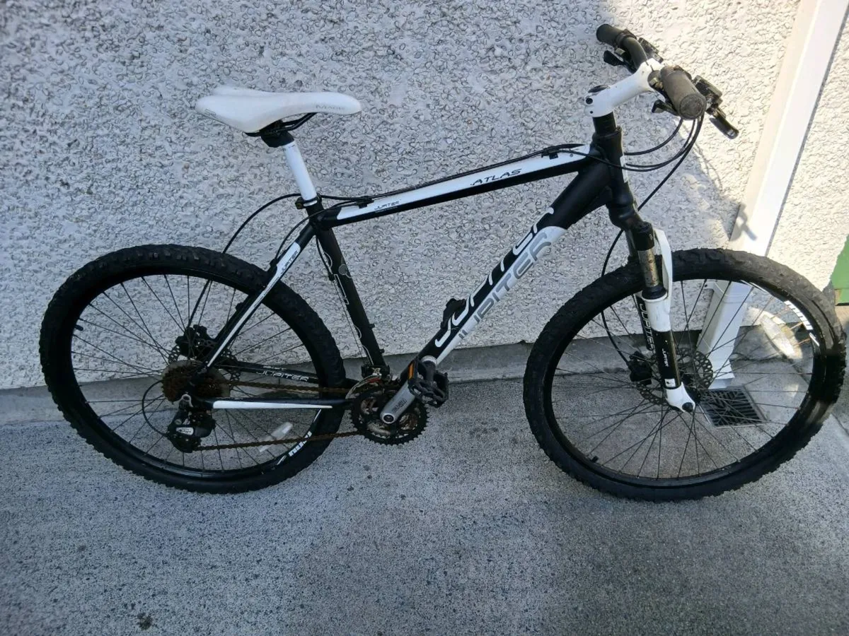 ADULTS BIKE - Image 2