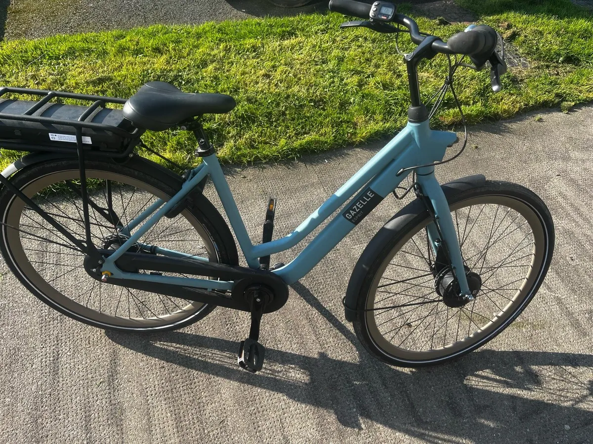 Electric bike - Image 1