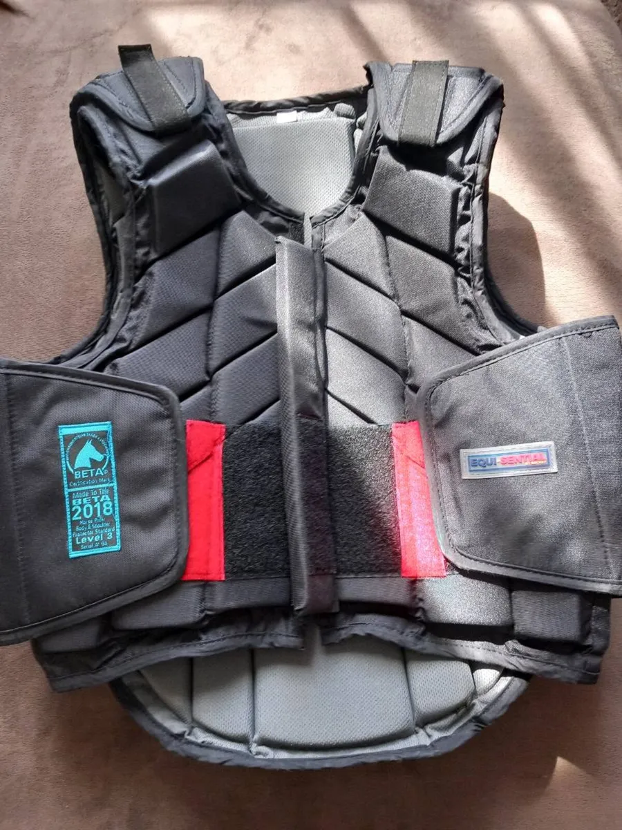 Horse riding body protector - Image 2