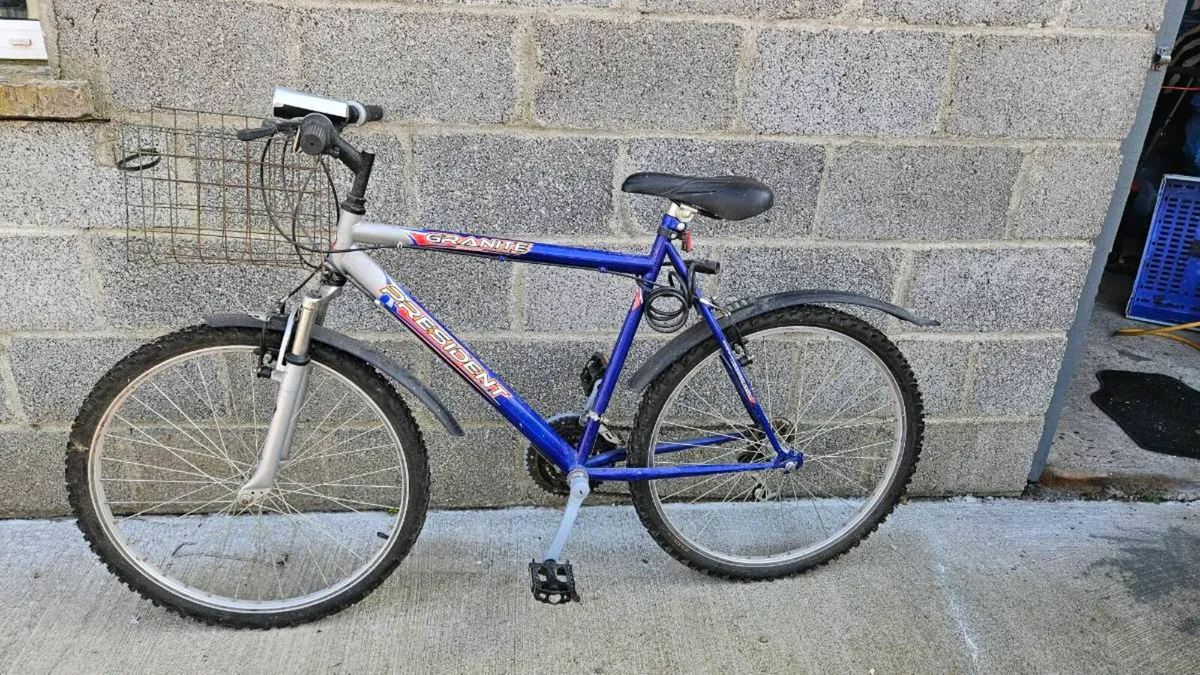 Bicycle - Image 1