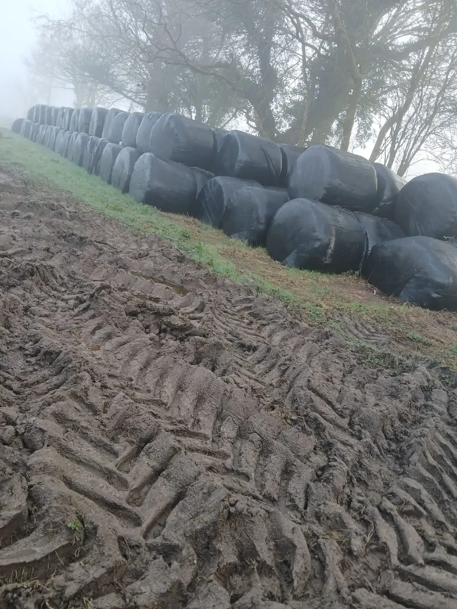 Bales of silage