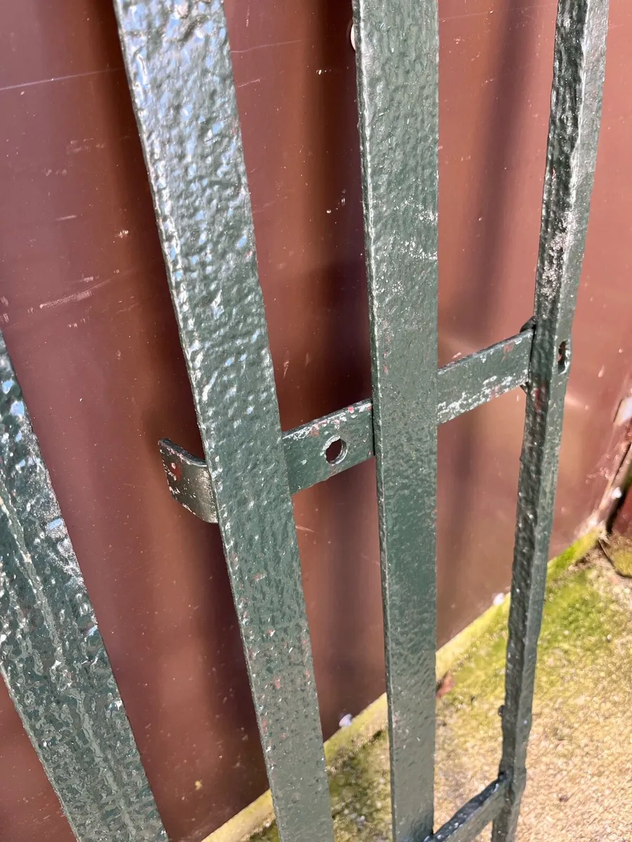 Cast iron gate - Image 3