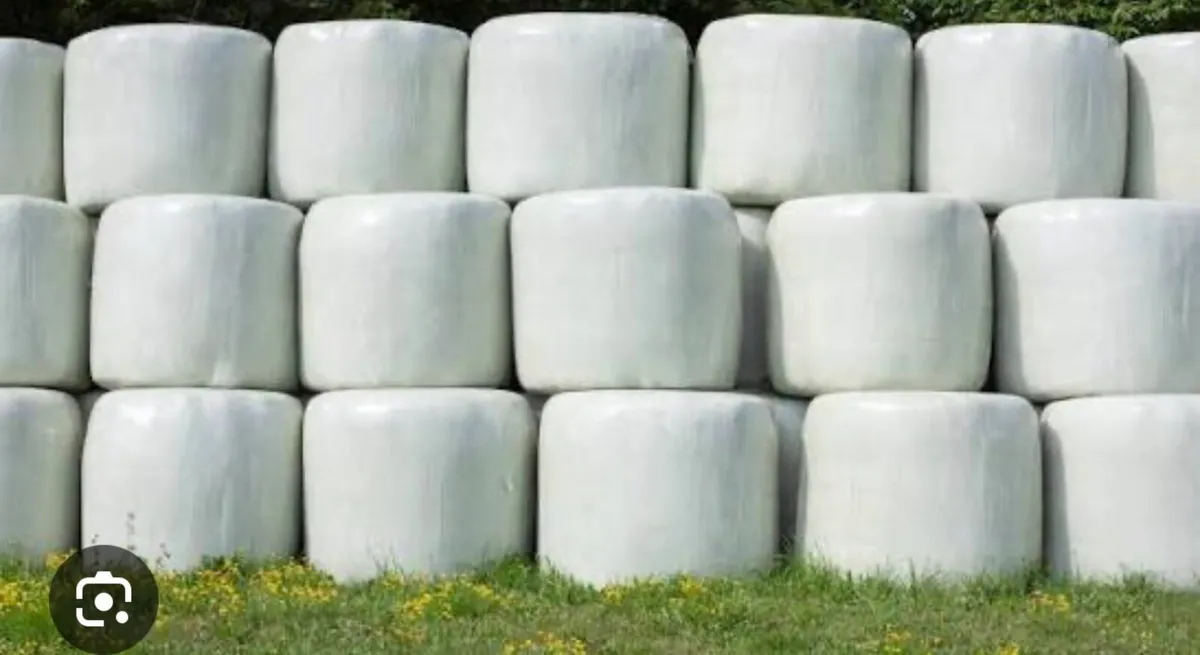 Bales of silage for sale