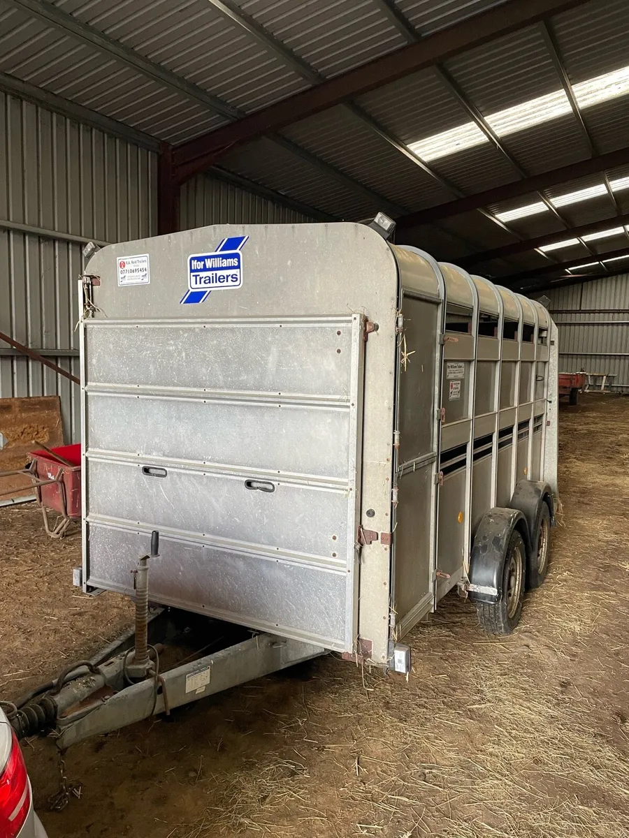 12 x 6 Ifor Williams Cattle Trailer - Image 1