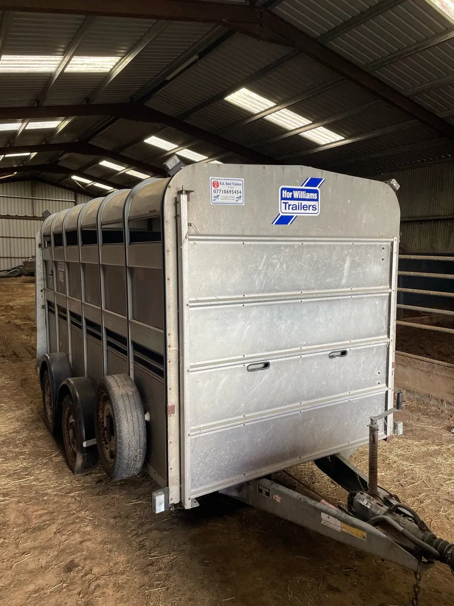 12 x 6 Ifor Williams Cattle Trailer - Image 2
