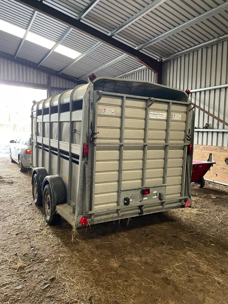 12 x 6 Ifor Williams Cattle Trailer - Image 3