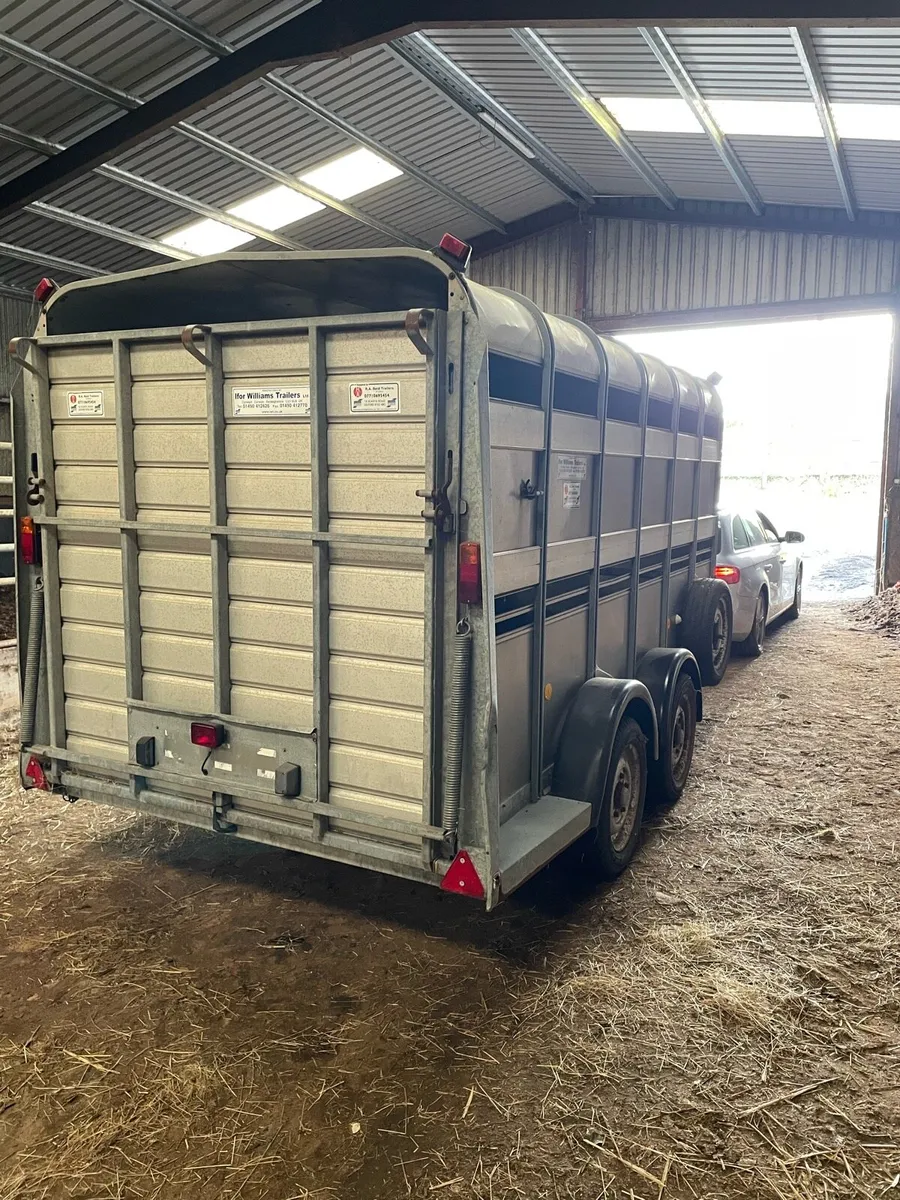 12 x 6 Ifor Williams Cattle Trailer - Image 4