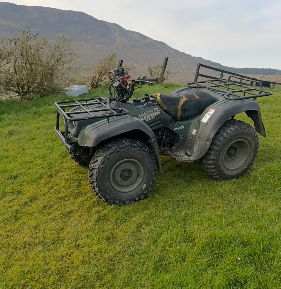 Suzuki kingquad 300 - Image 1