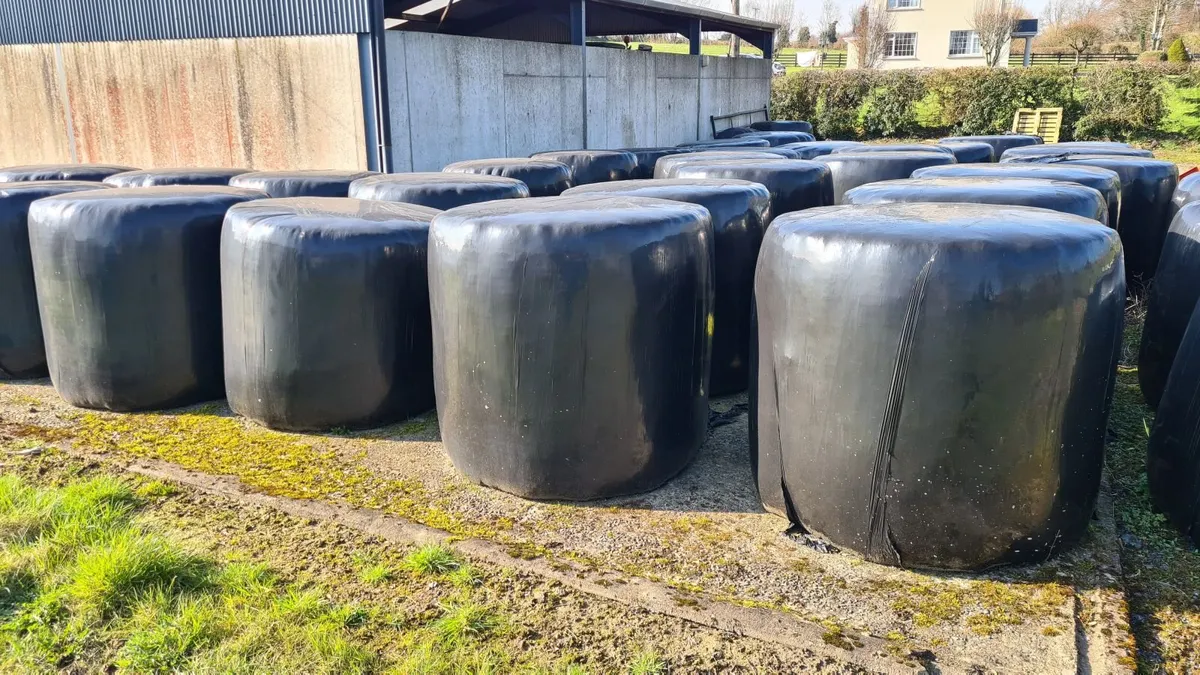 Round bales of Silage