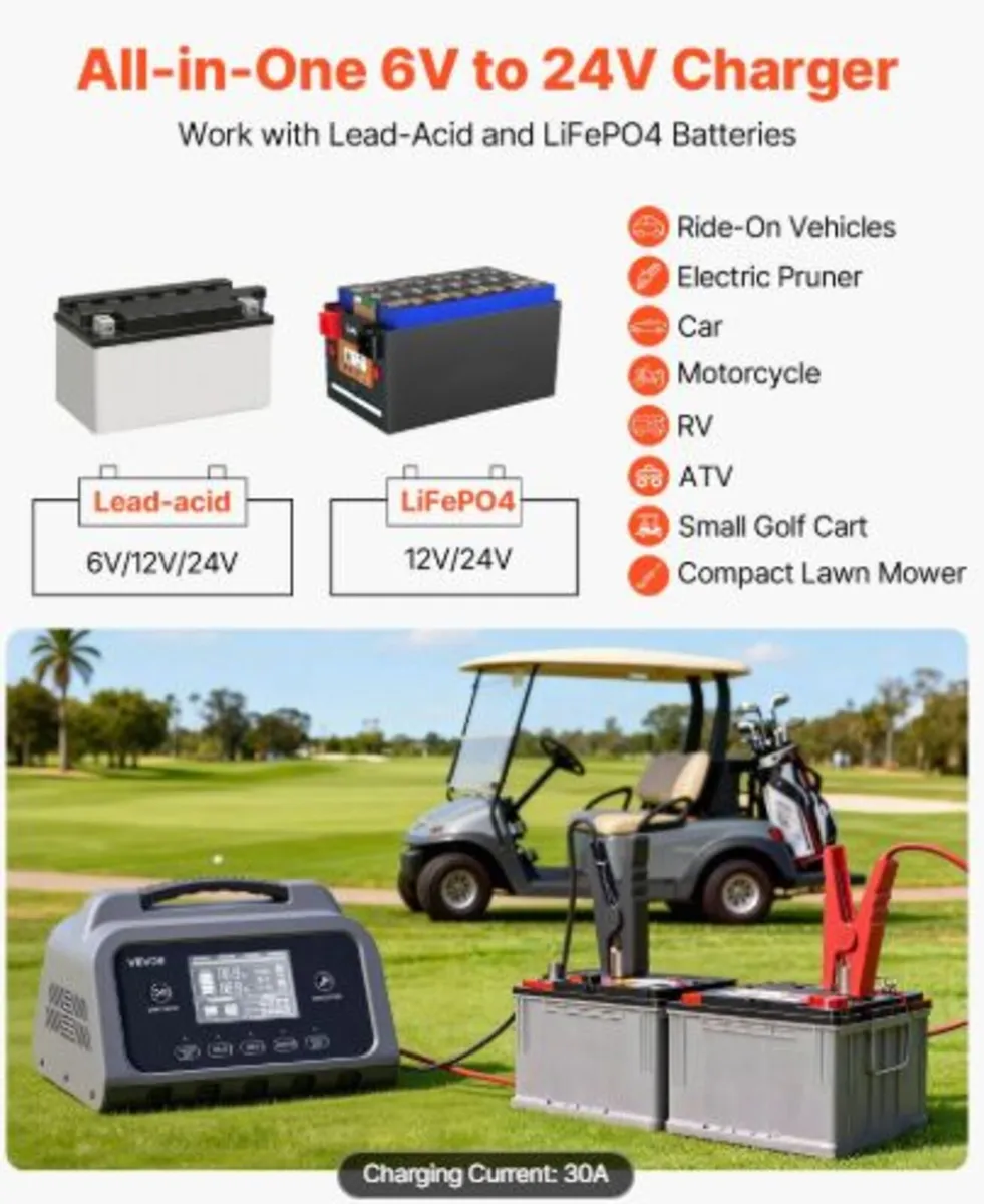 Smart Battery Charger, 30A,6V 12V 24V LiFePO4 Lead - Image 2