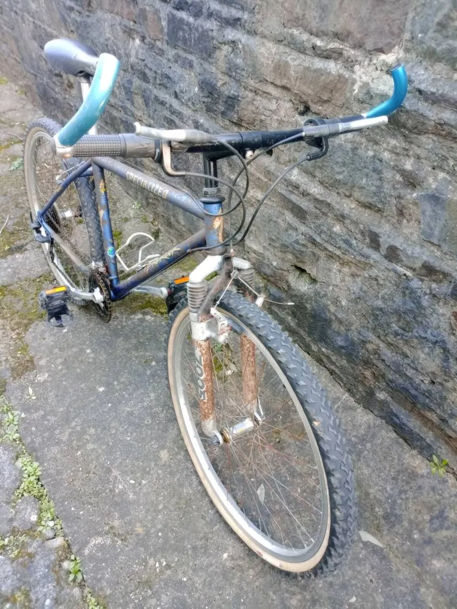 Retro Mountain Bike - Image 2