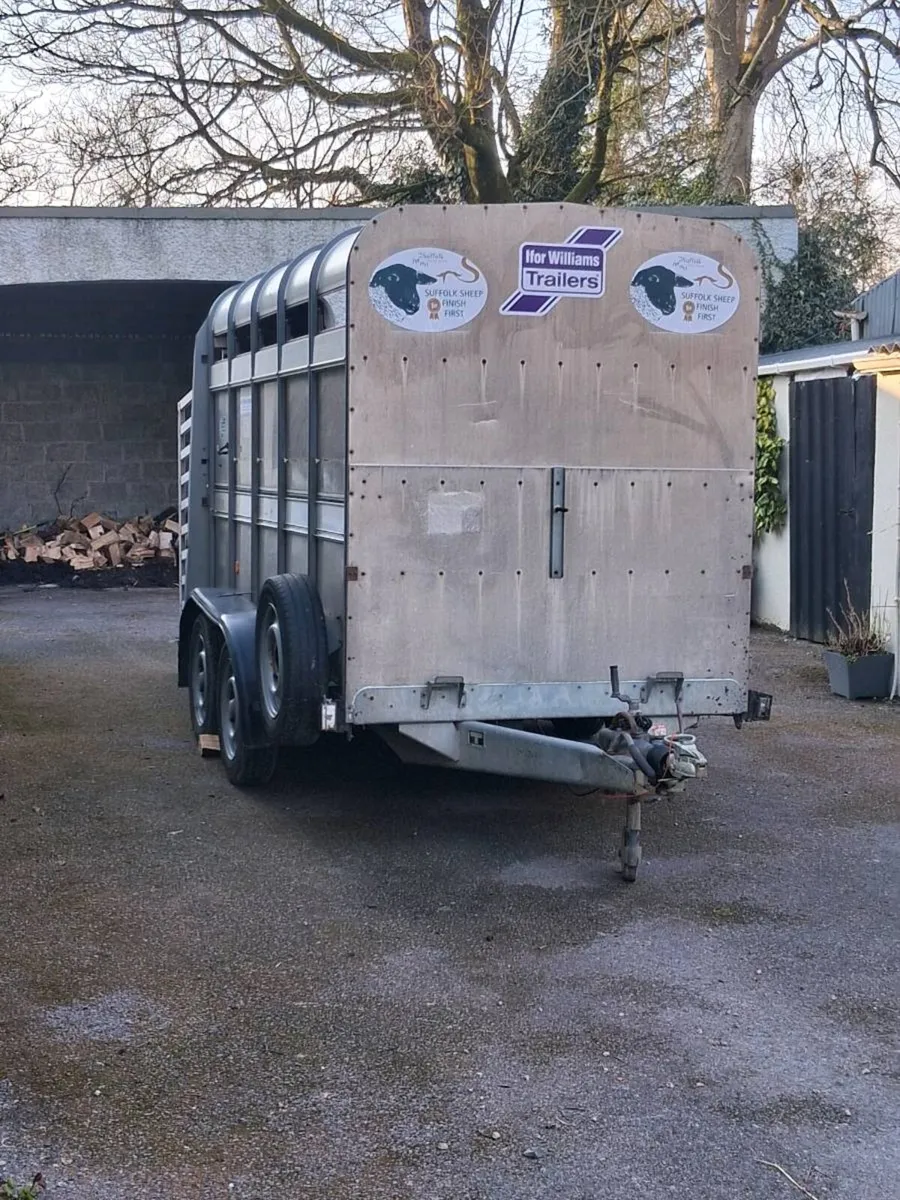 Ifor williams 10x5 with sheep decks - Image 1
