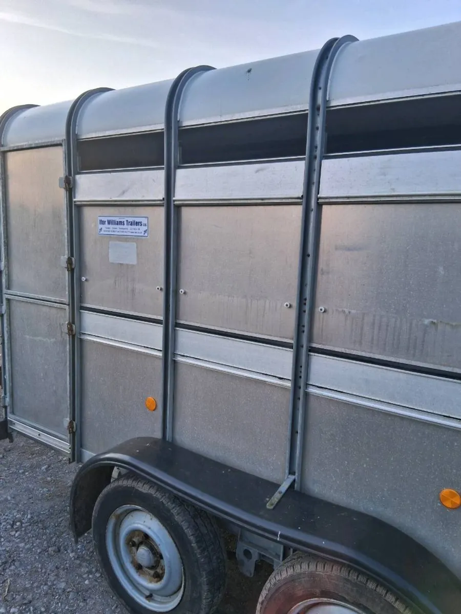 Ifor williams 10x5 with sheep decks - Image 3