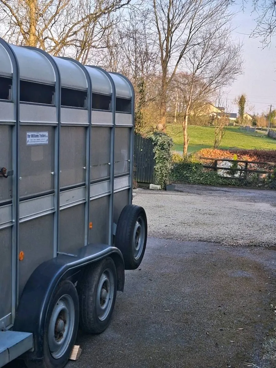 Ifor williams 10x5 with sheep decks - Image 2