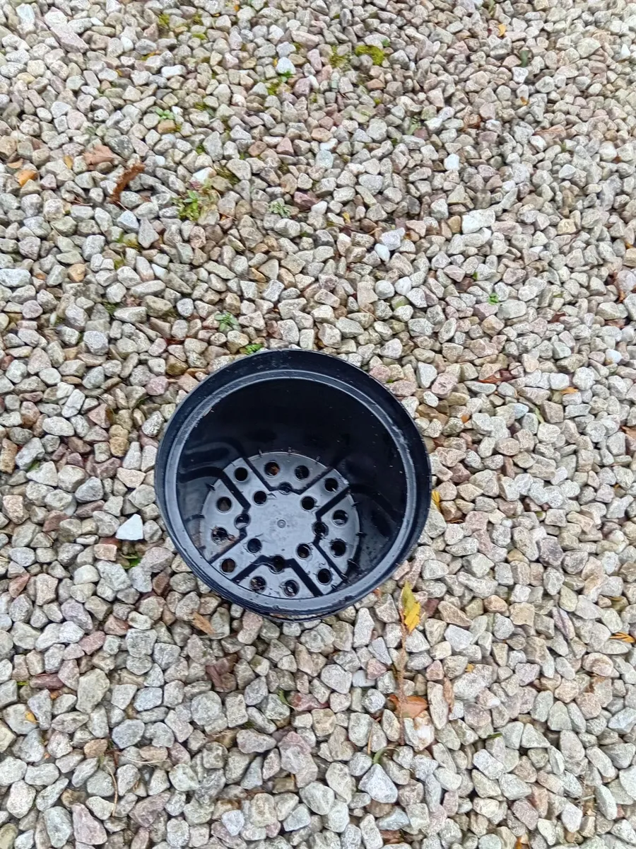 Plastic pots - Image 2