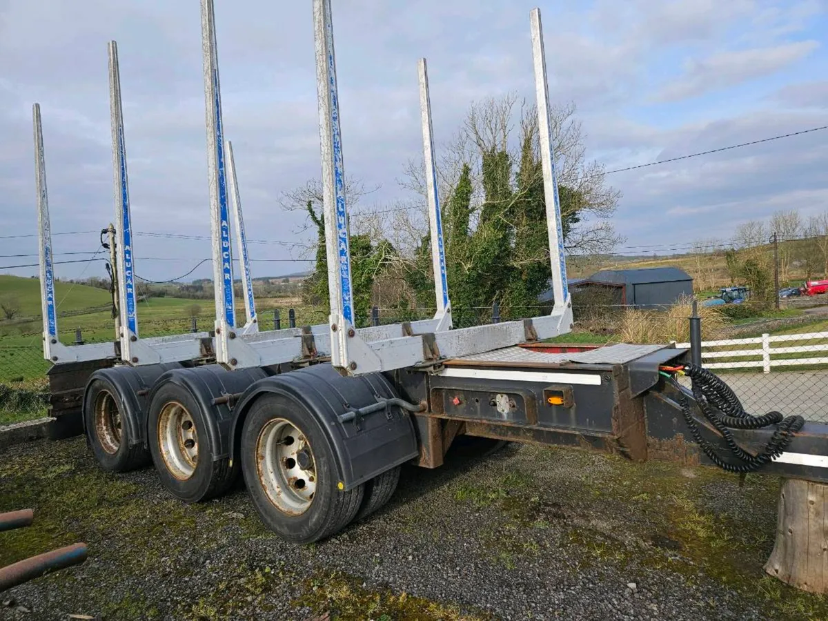 Dennison Timber trailer - Image 4