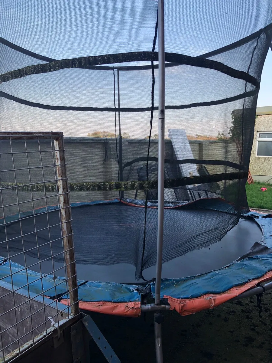 Trampoline - Image 3