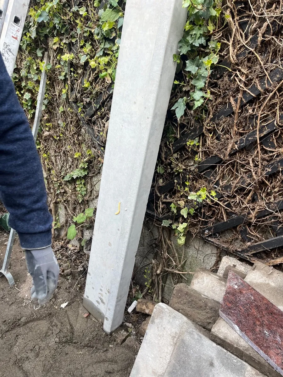 HI ad - Plint 5ft 6 inches long, 10 inches wide - Image 1