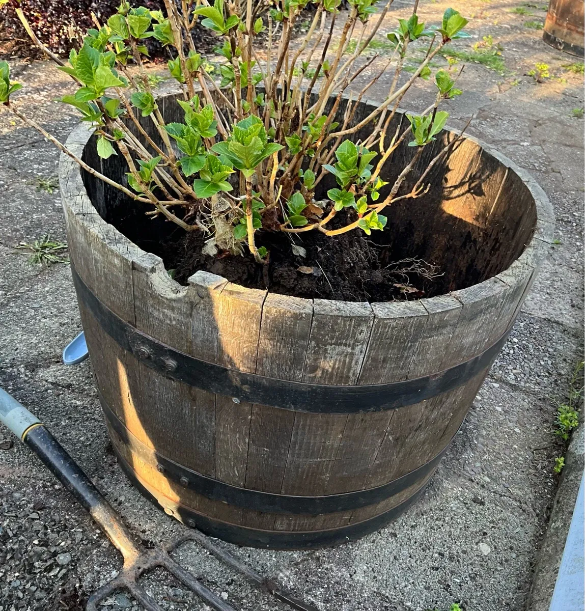 Large Wooden Barrels x 2 - Image 2