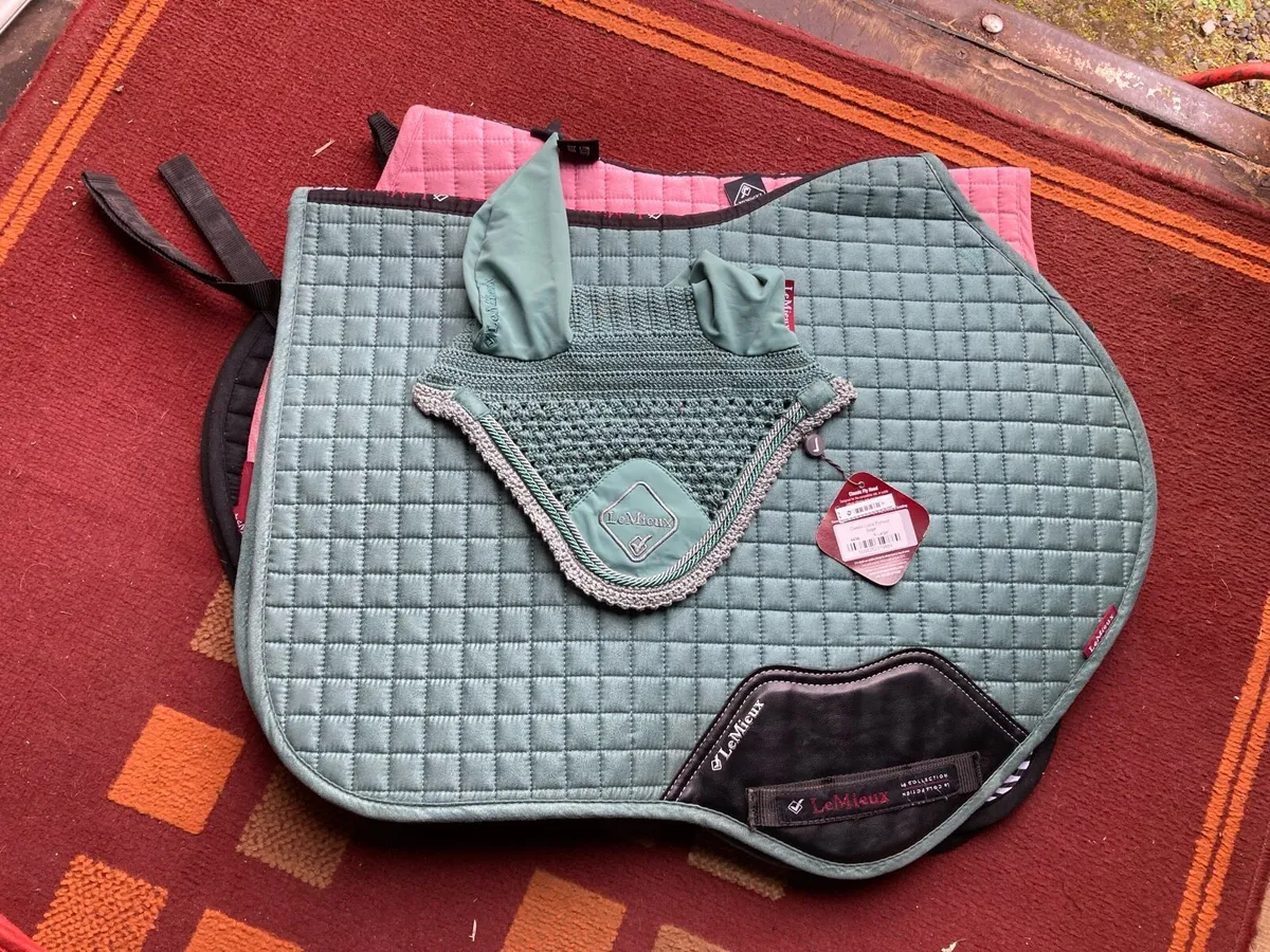 Lemieux sets - Image 1