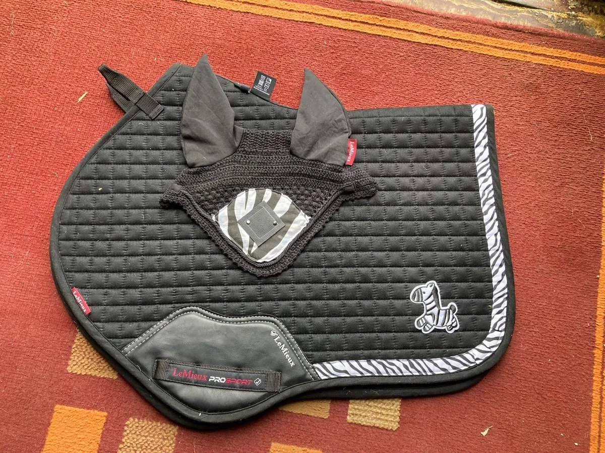 Lemieux sets - Image 3