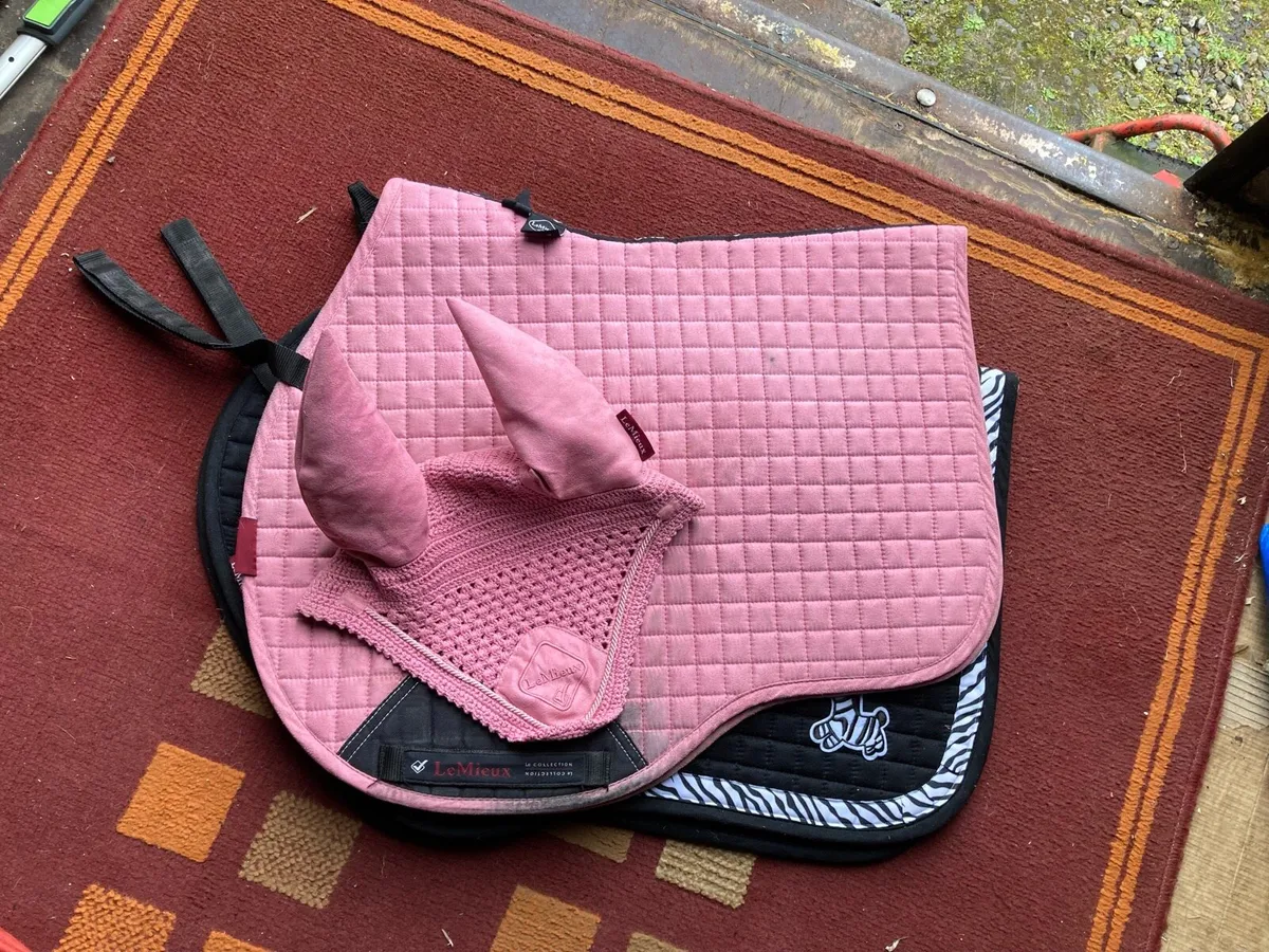 Lemieux sets - Image 4