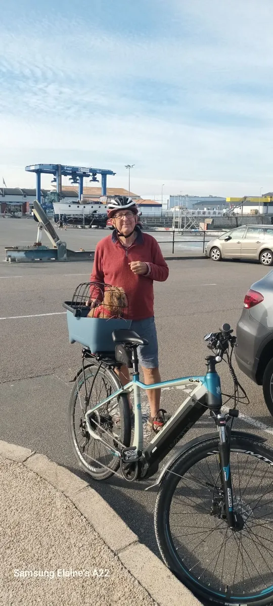 Dog carrier for bike - Image 1