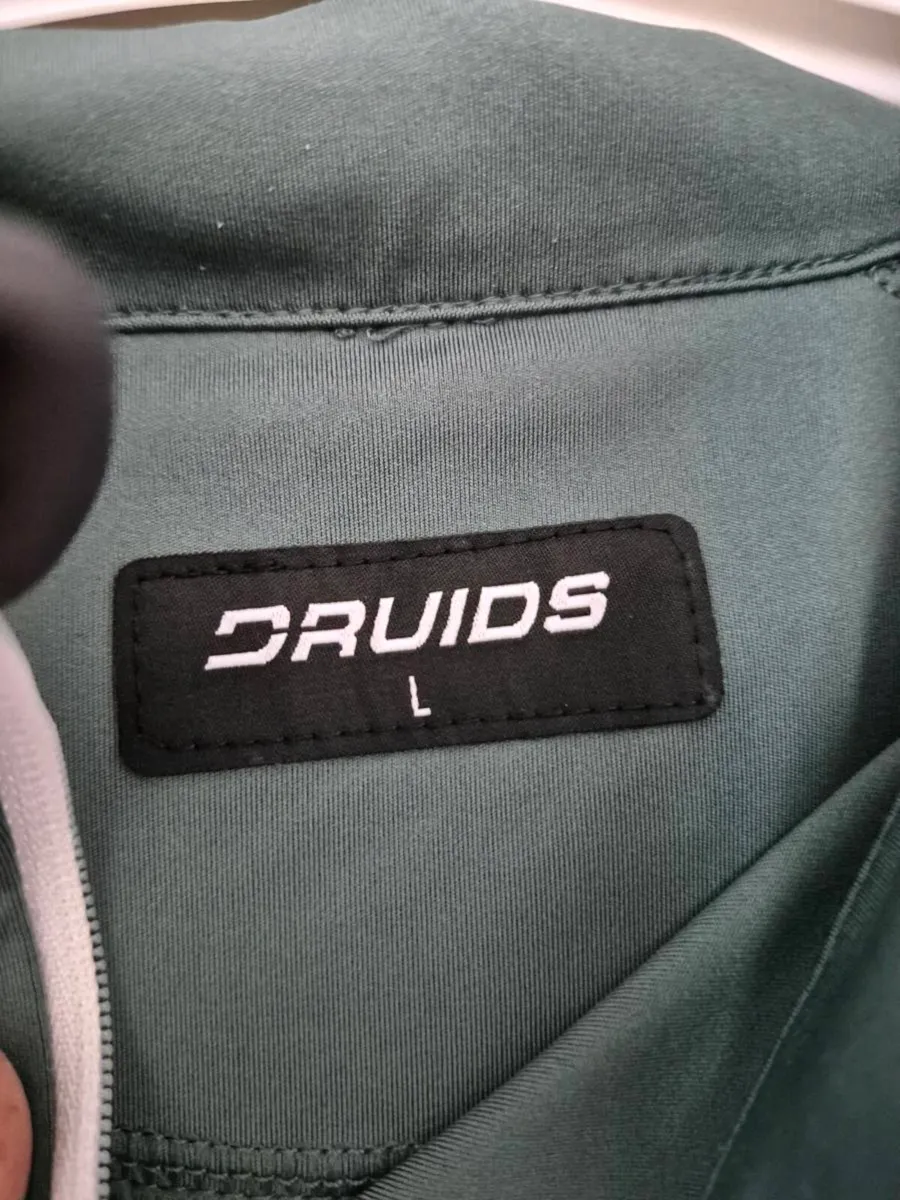 Druids Sage 1/4 - Image 2