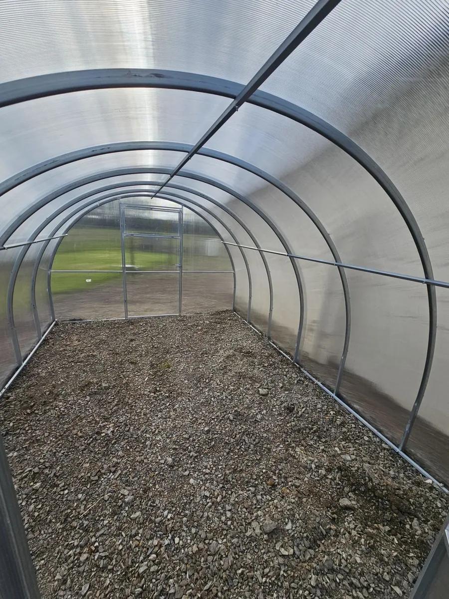 Featured Model: 3x4m Champion Greenhouse - Image 3