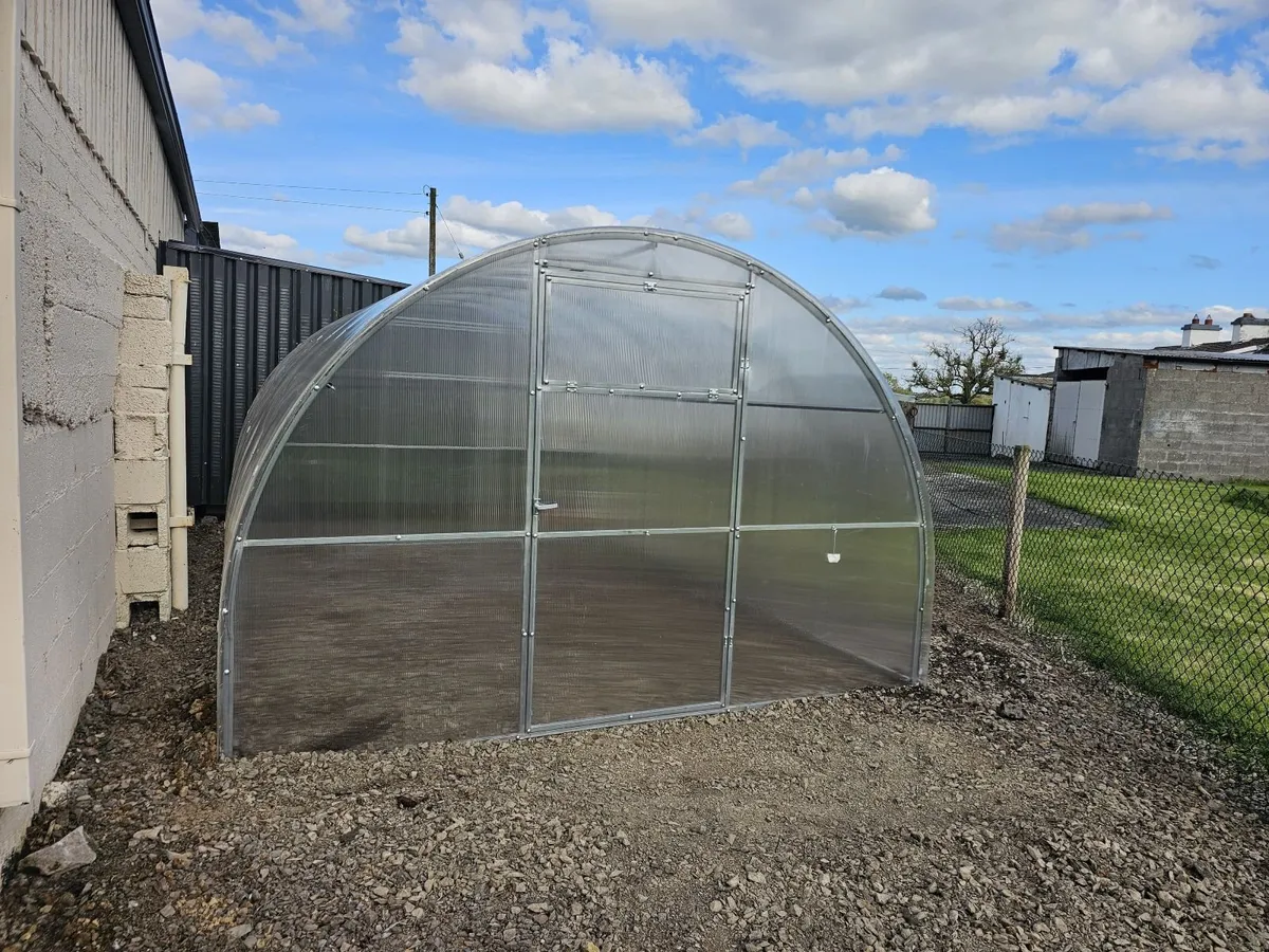 Featured Model: 3x4m Champion Greenhouse - Image 4