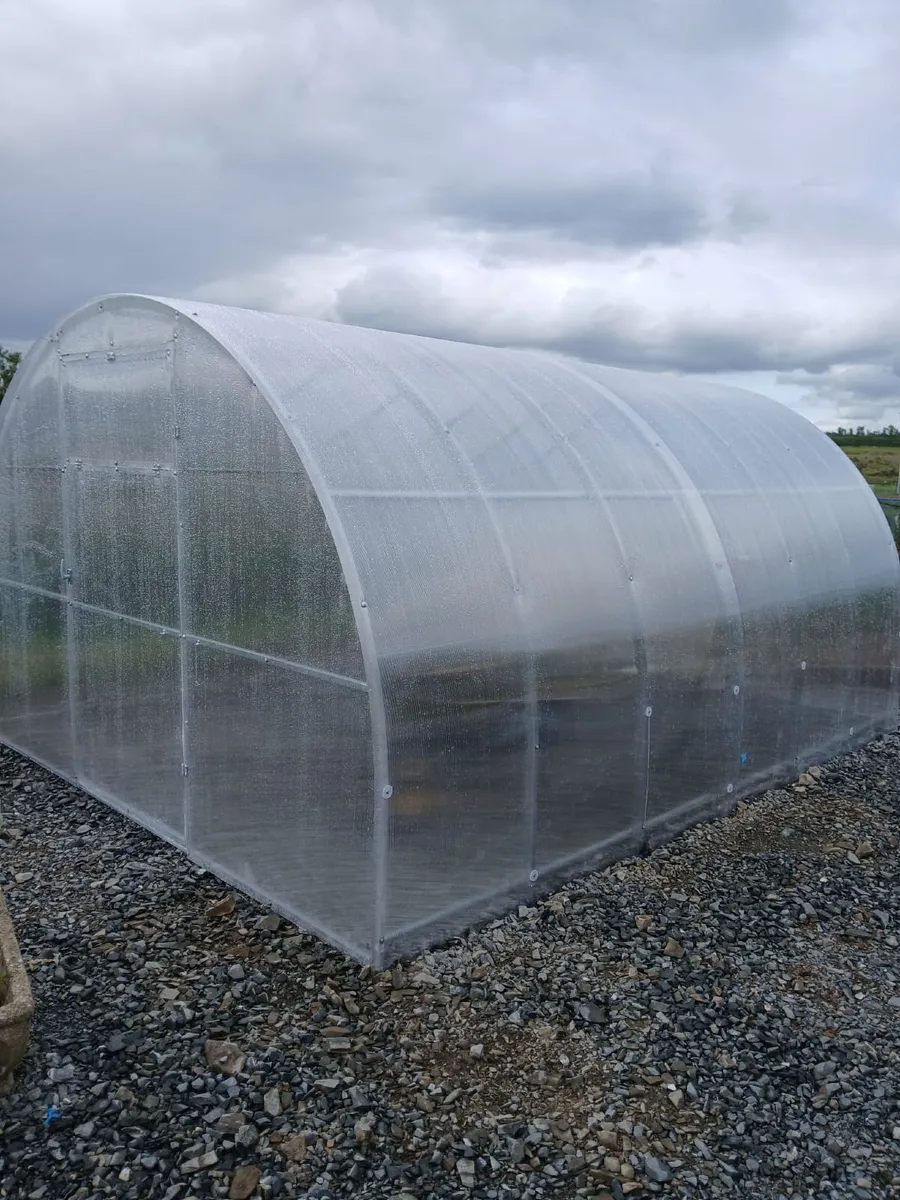 Featured Model: 3x4m Champion Greenhouse - Image 2