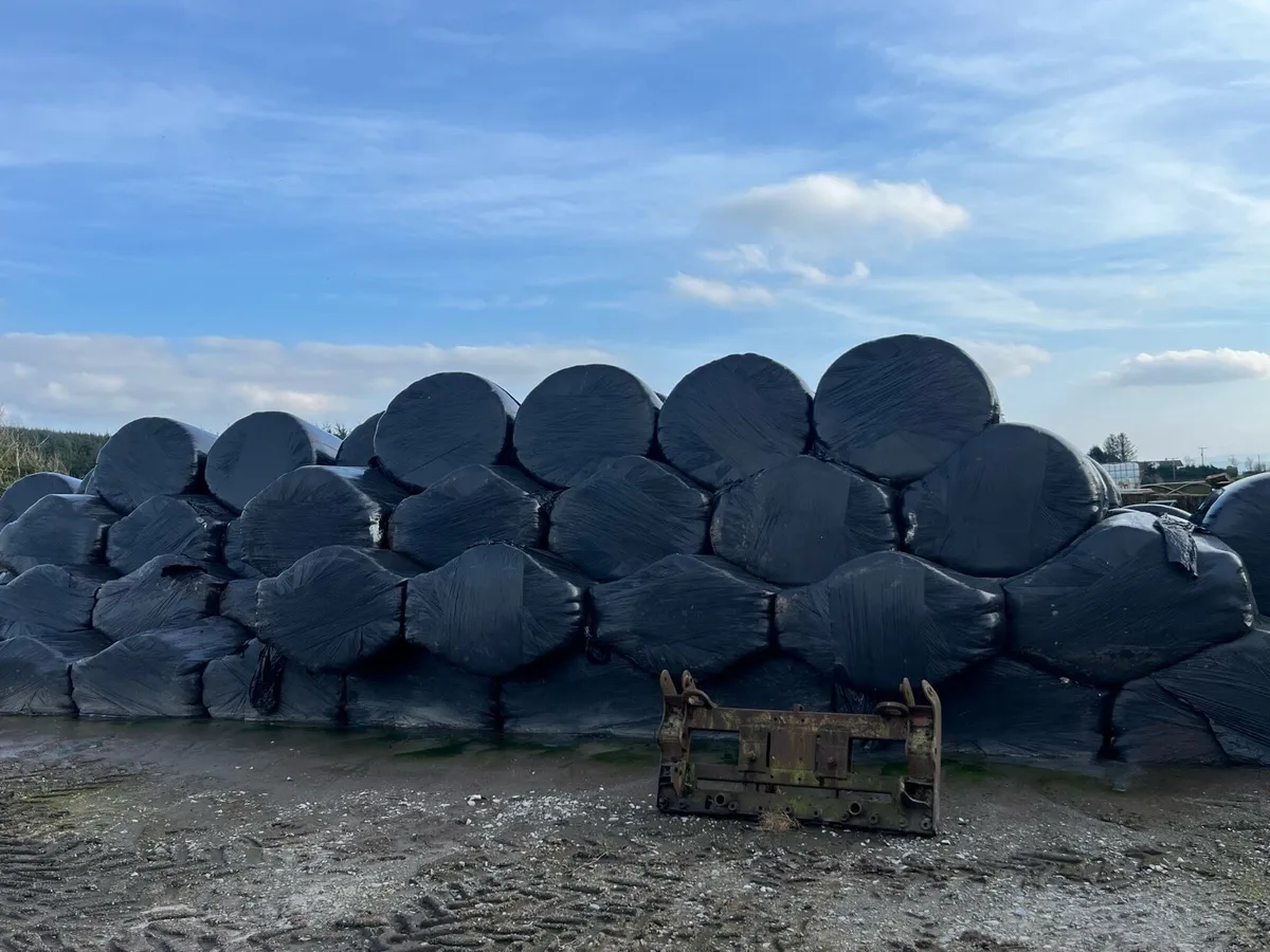 Pit silage and bales - Image 2