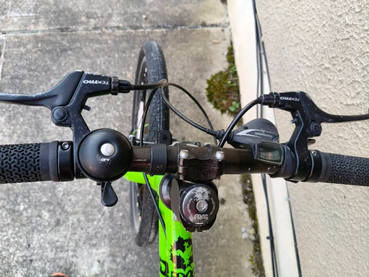 Frog 52 childs bicycle - Image 2