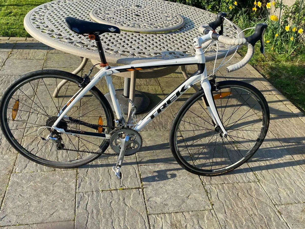 Adult Bike - Image 1