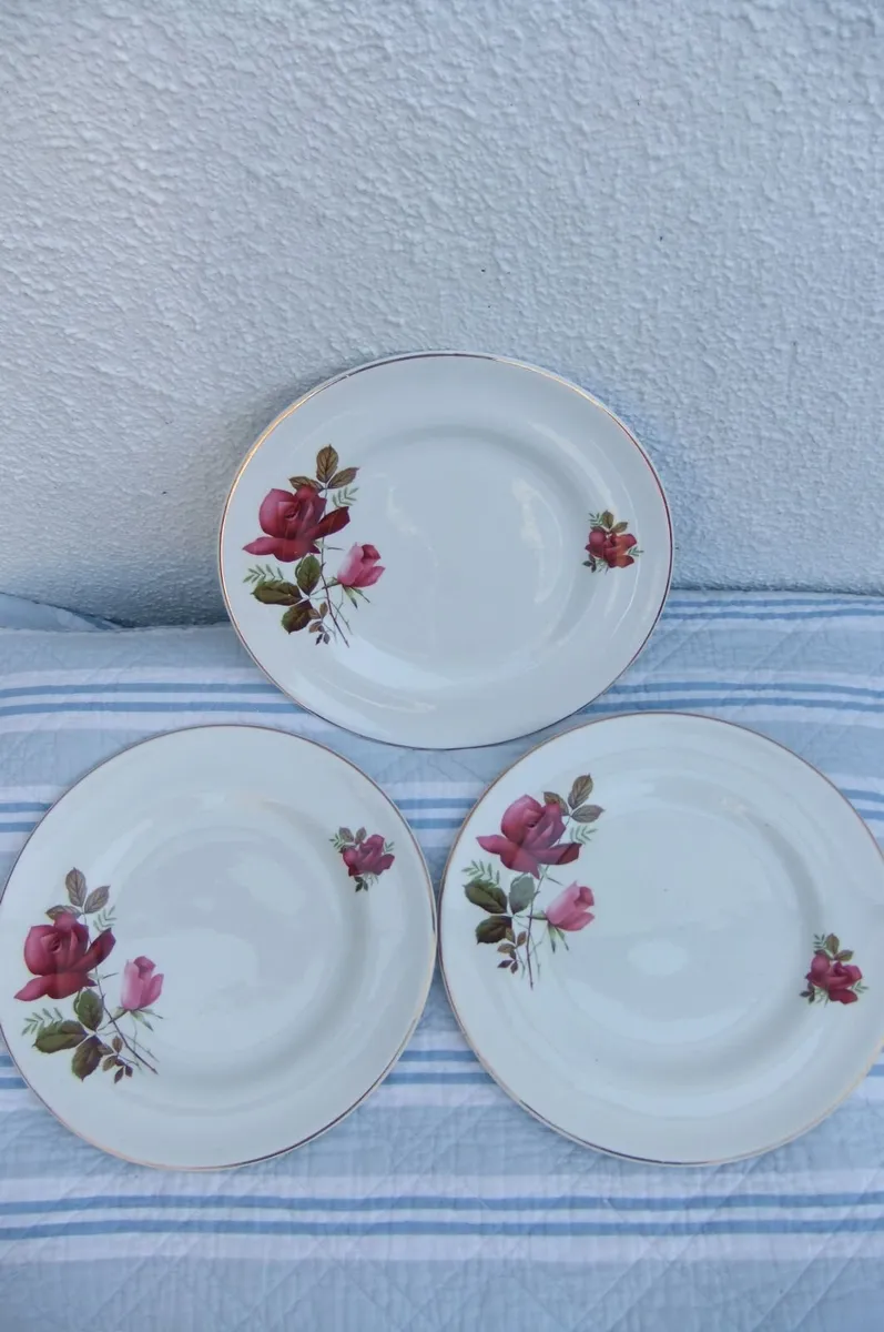 Arklow Pottery Autumn Rose Plates x 6 - Image 3
