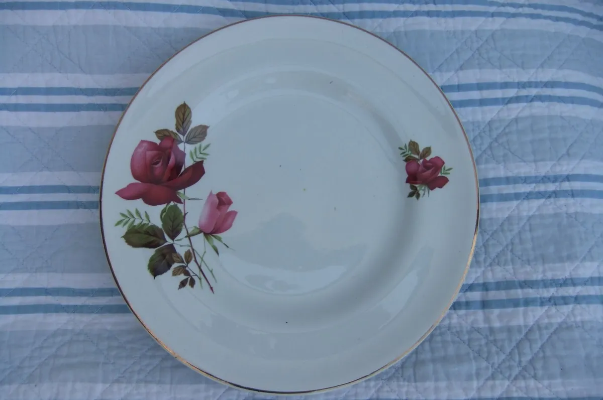 Arklow Pottery Autumn Rose Plates x 6 - Image 2