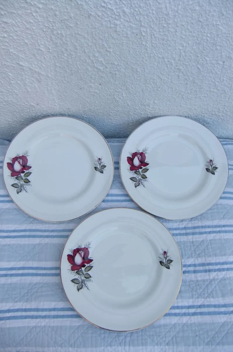 Arklow Pottery Autumn Rose Plates x 6 - Image 4