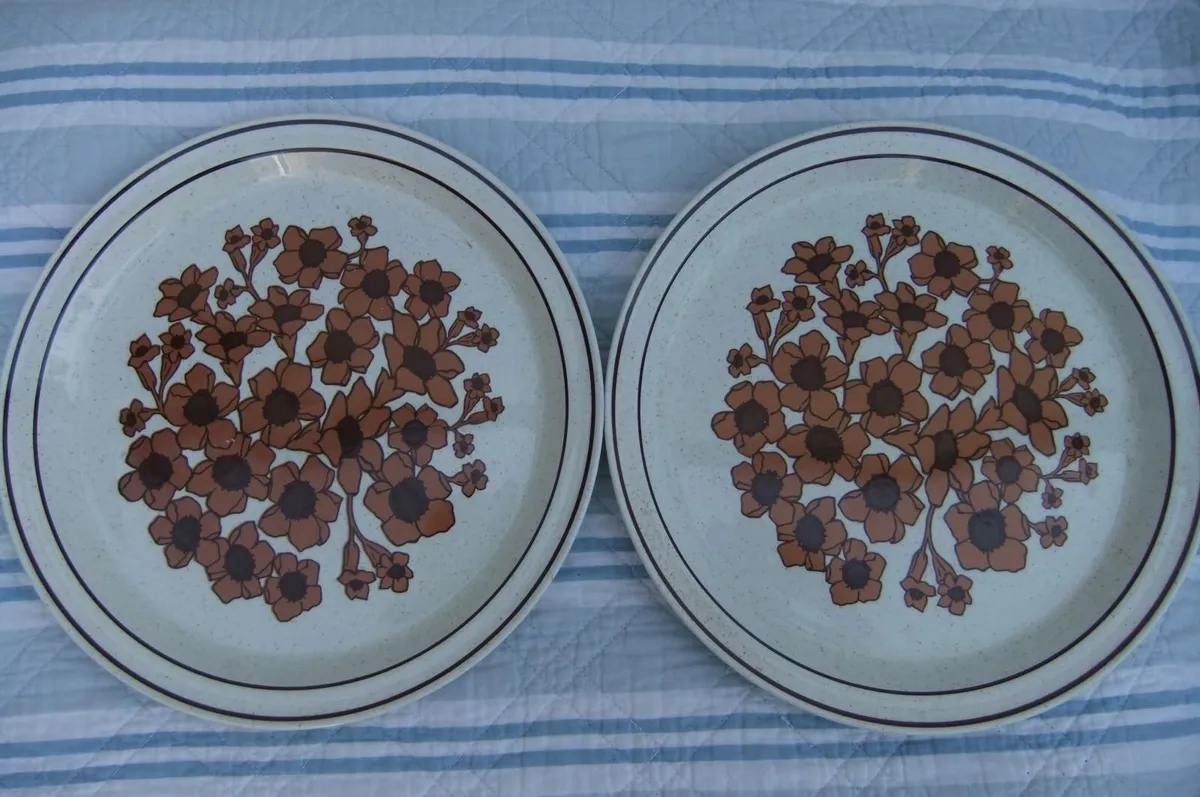 Arklow Pottery Rare Bridgid Pattern Plates x 2 - Image 3