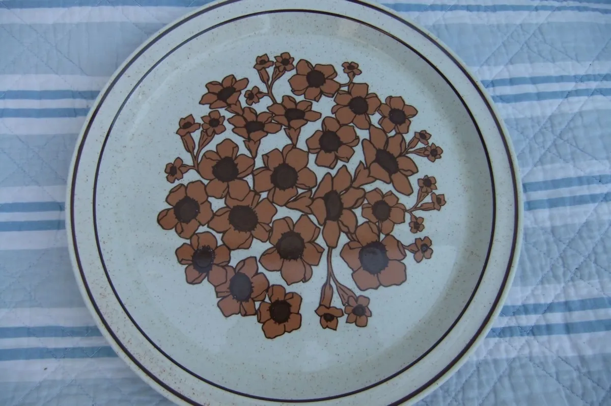 Arklow Pottery Rare Bridgid Pattern Plates x 2 - Image 4