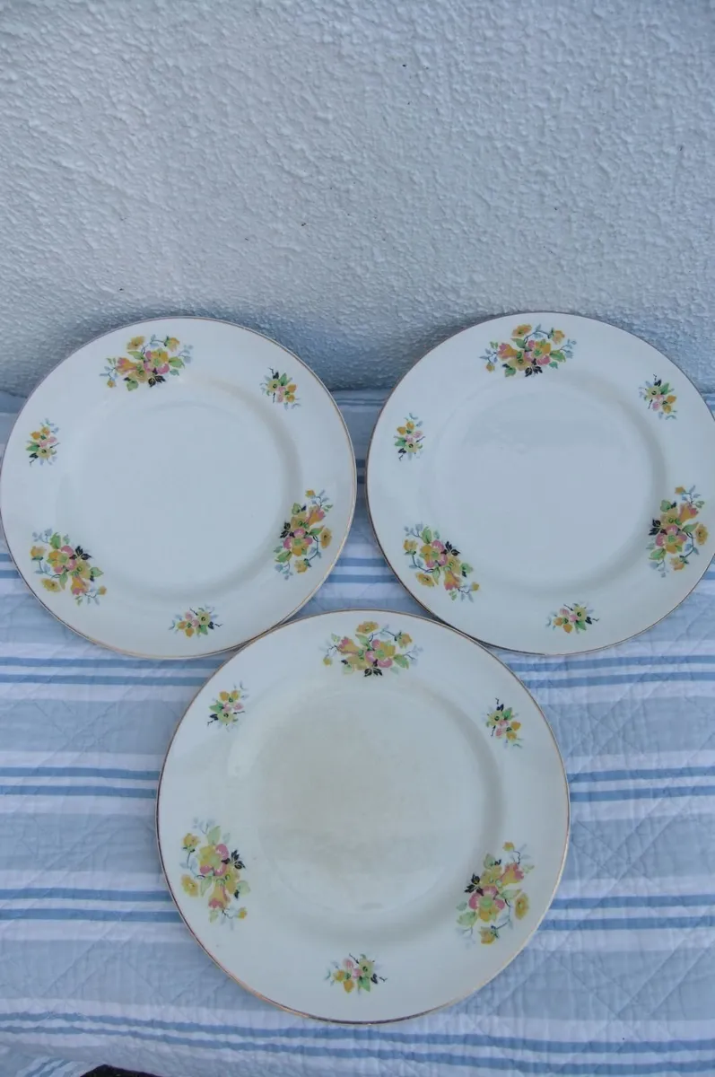 Arklow Pottery Floral Plates x 3 - Image 1