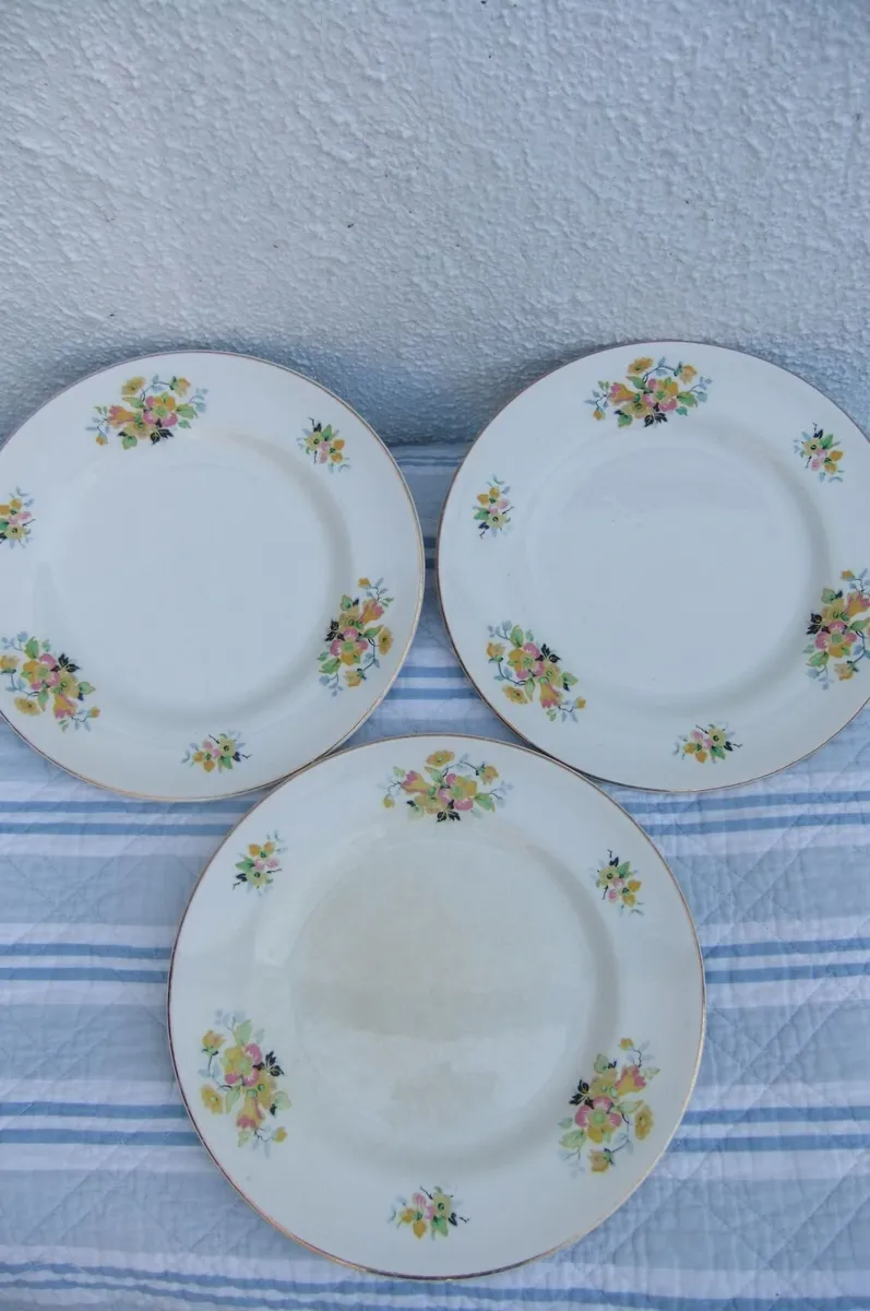 Arklow Pottery Floral Plates x 3 - Image 3