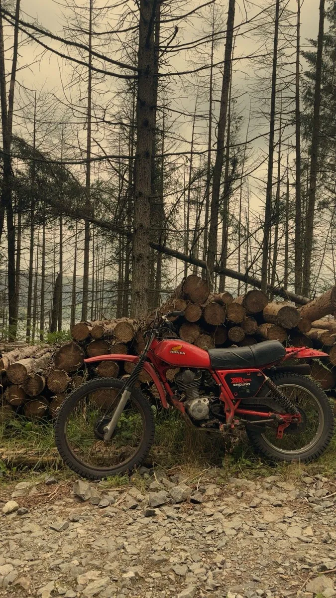 1980 Honda xr125s - Image 2