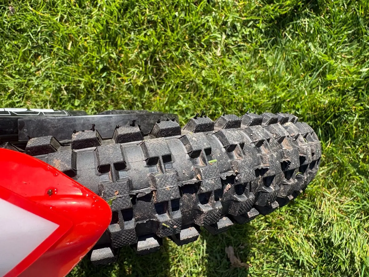 Beta minitrial e16 trials bike - Image 2