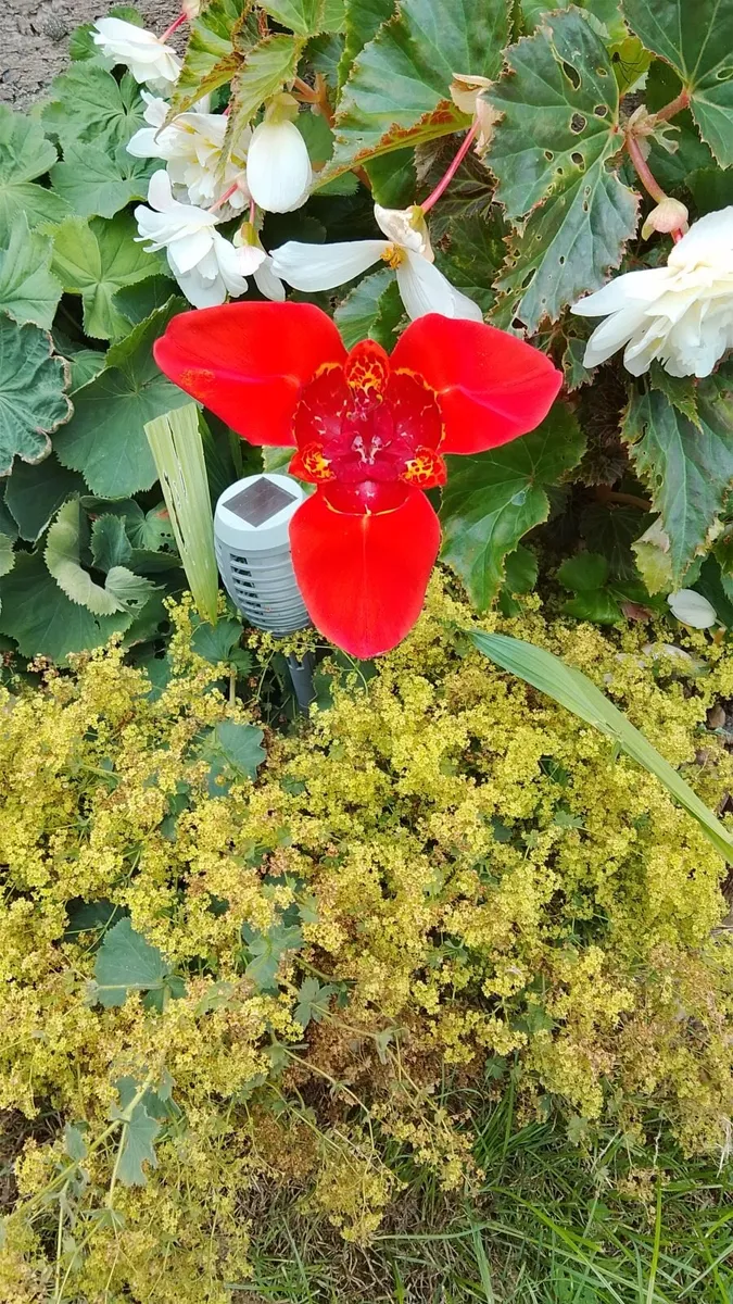 Handyman Services  Co. Meath - Image 2