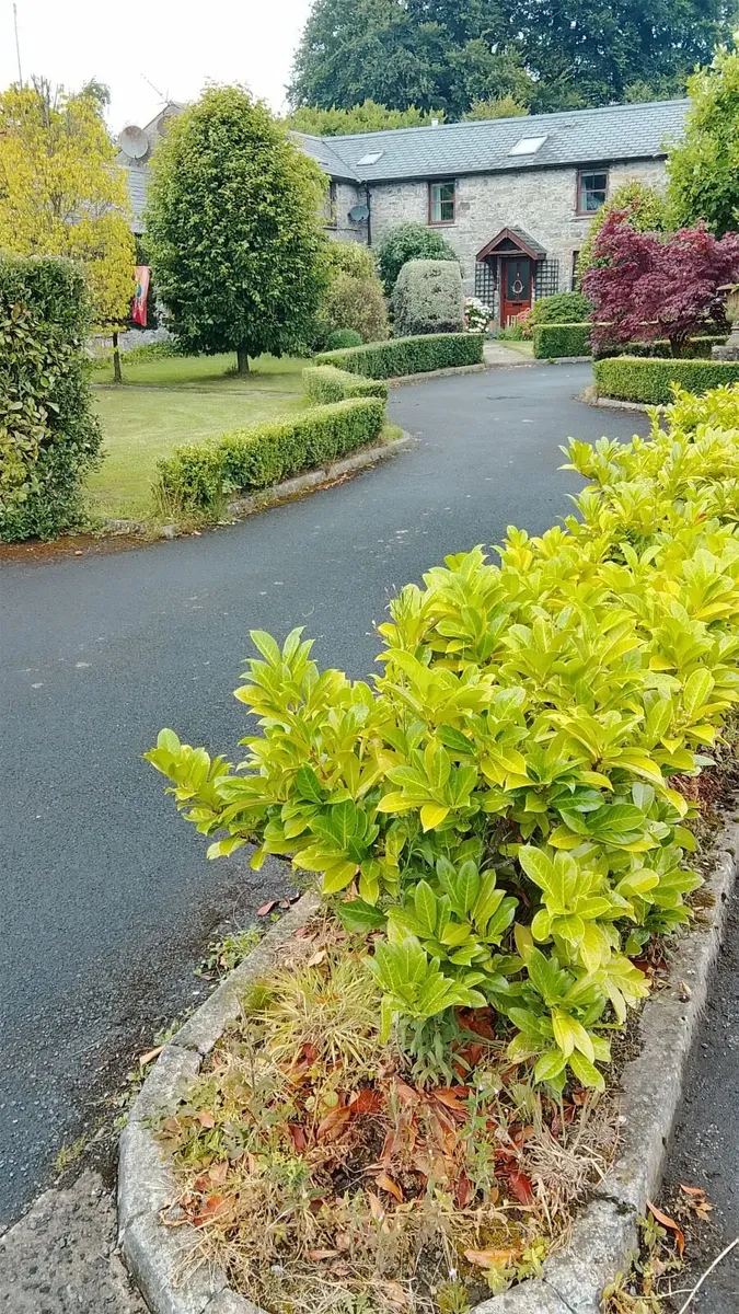 Handyman Services  Co. Meath - Image 3